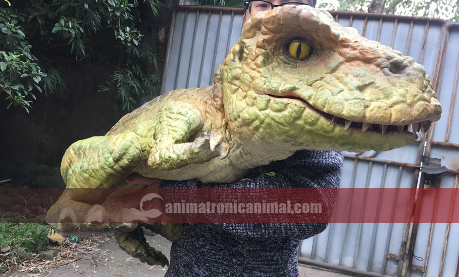 Baby Dinosaur Prop for Sale