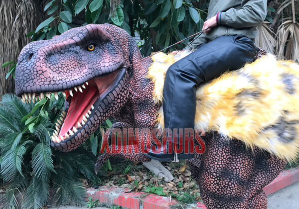 Custom-Made Dinosaur Rider Costume