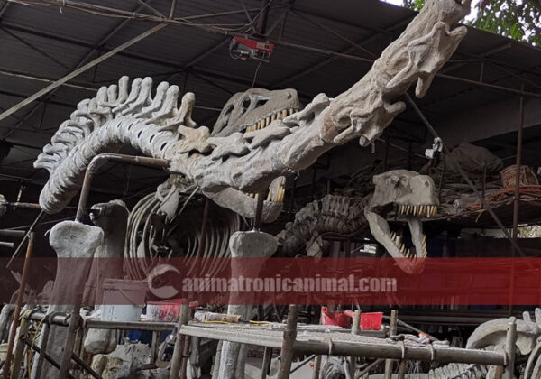 Manufactured Lifesized Dinosaur Skeleton Replicas