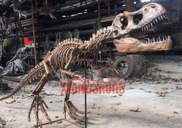 Tyrannosaurus Rex Skeleton in Factory