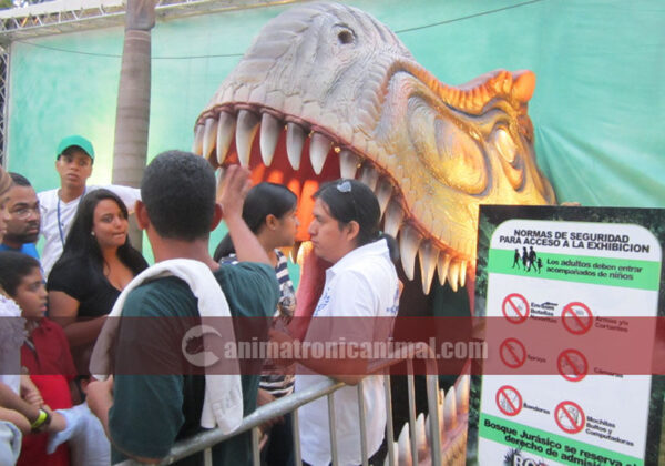Amazed Dinosaur Exhibition