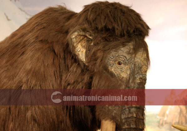 Ice Age Mammoth Exhibits for Show