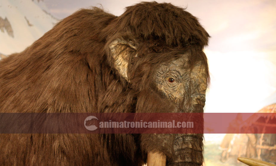 Ice Age Mammoth Exhibits for Show