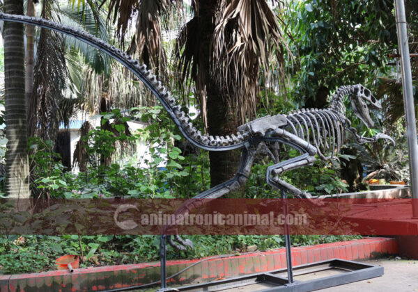 Raptor Fossil Decorations