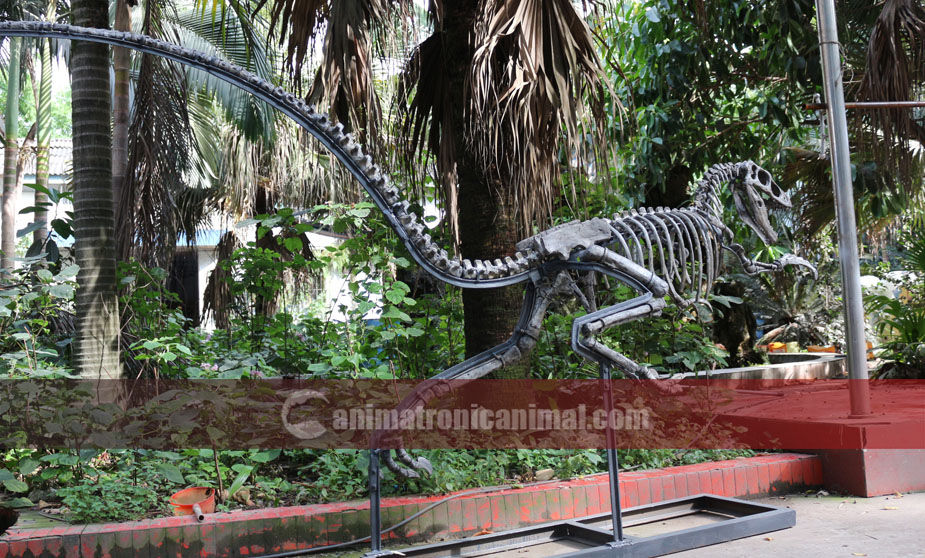 Raptor Fossil Decorations