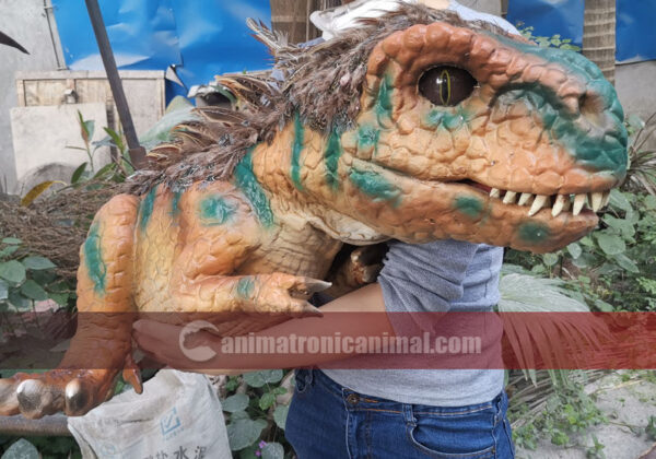 Baby Trex Prop for Sale