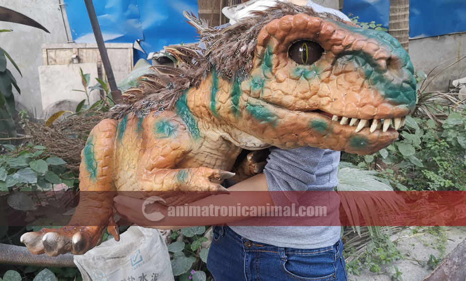 Baby Trex Prop for Sale