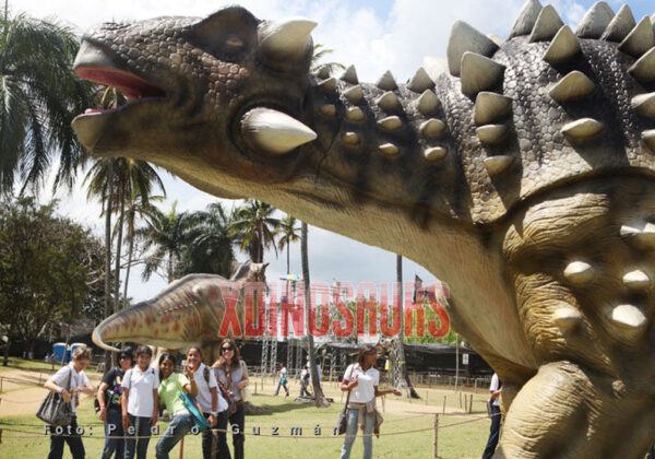 Big Ankylosaurus Model at DinoPark