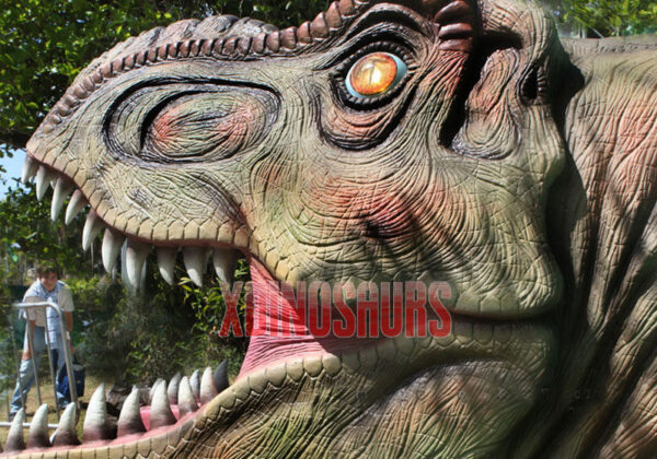 Big Dinosaur Head Exhibits