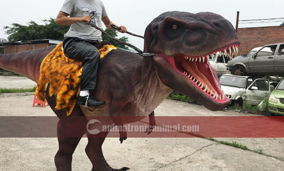 Parade Dinosaur Product