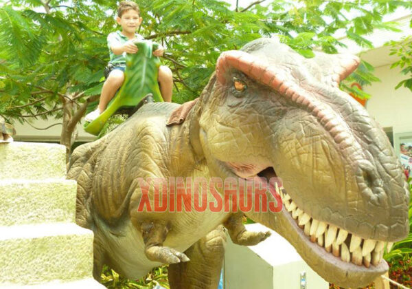 Riding Dinosaur Equipment for Playground