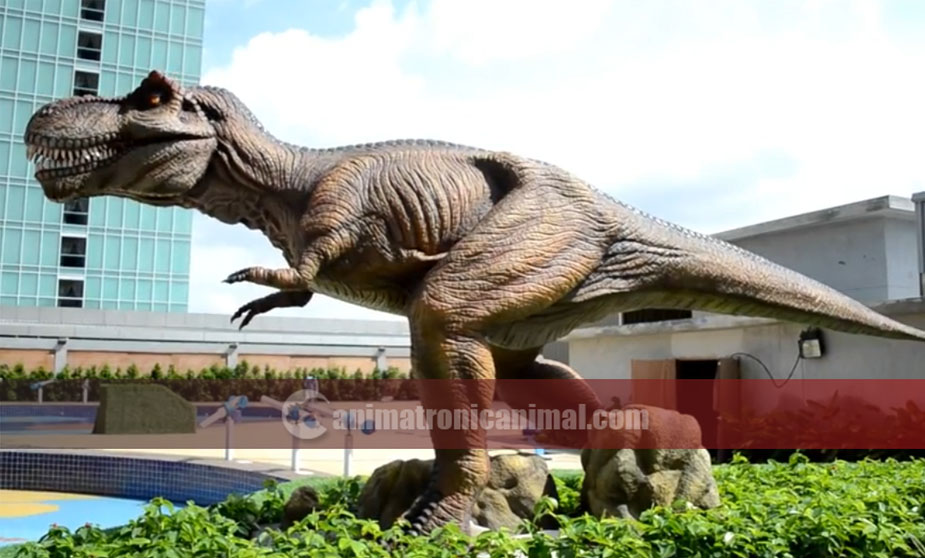 Trex Attraction for water park