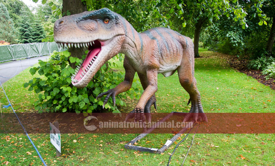 Dino Expedition Park Model