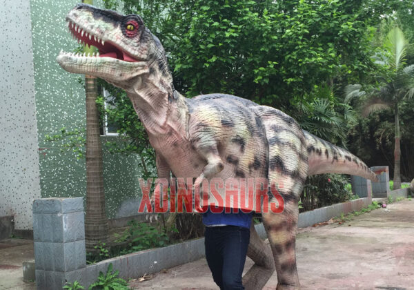 Dinosaur Showcase Prop