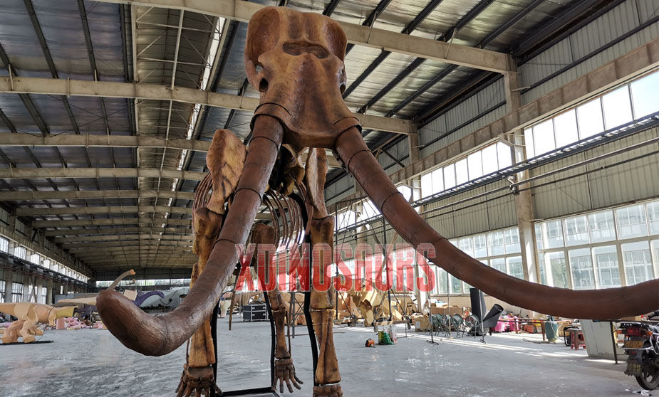 Fiberglass Mammoth Fossil Decorations