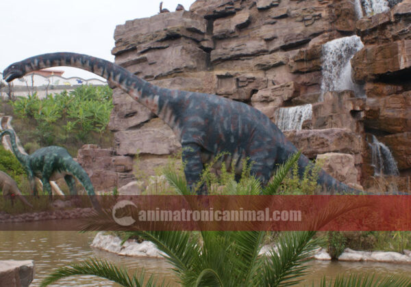 Large Omeisaurus Display Exhibits
