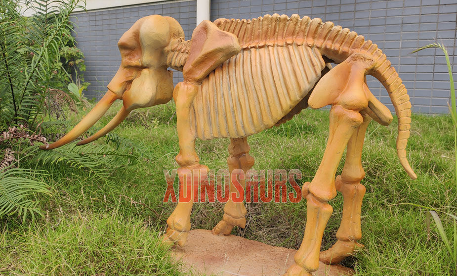 Small Animal Skeleton Statue