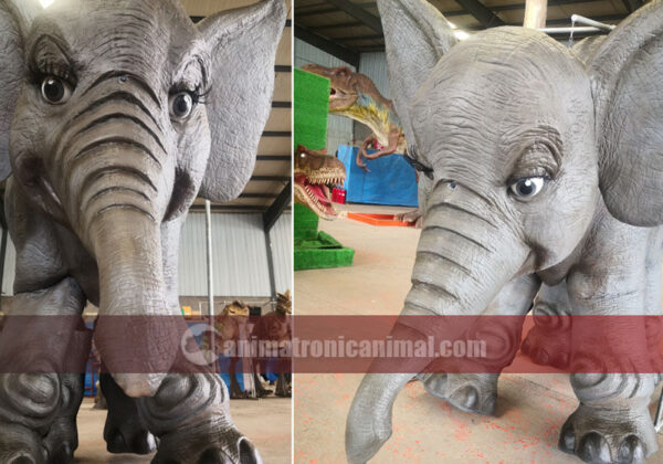 Cartoon Elephant Costume