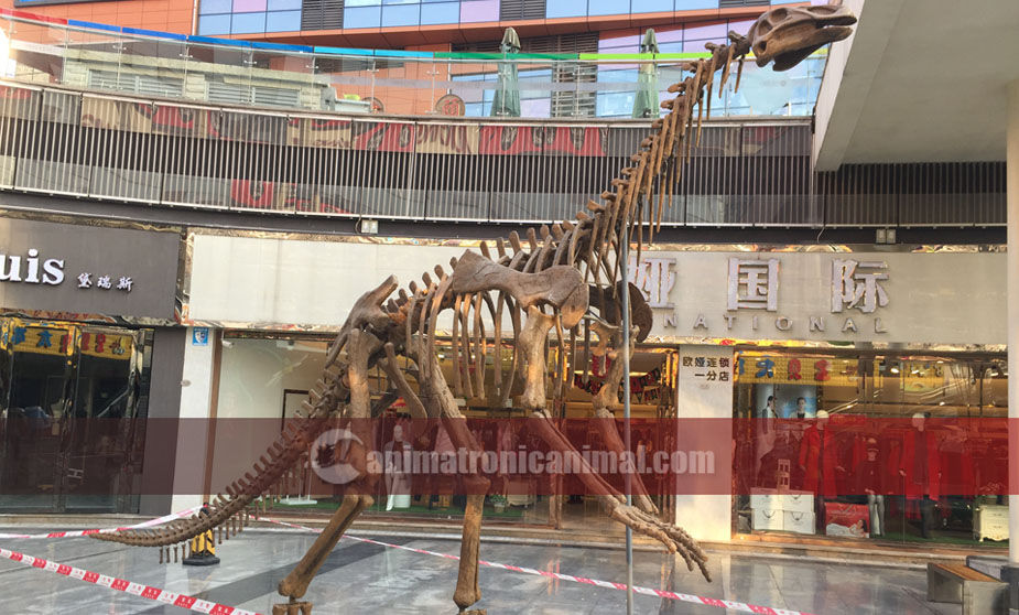 Large Dinosaur Fossil Replica at Business Plaza