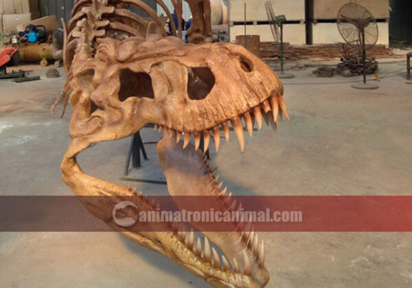 Fabricated Fiberglass Trex Skeleton Exhibits