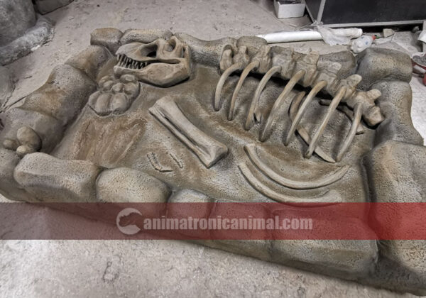 Trex Style Fossil Excavation Site