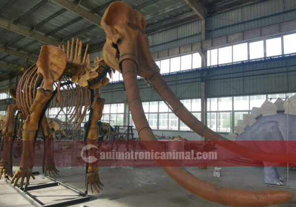 Fiberglass Mammoth Fossil Replica