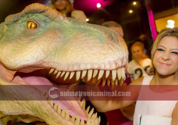 Real Tyrannosaurus Rex Film Prop