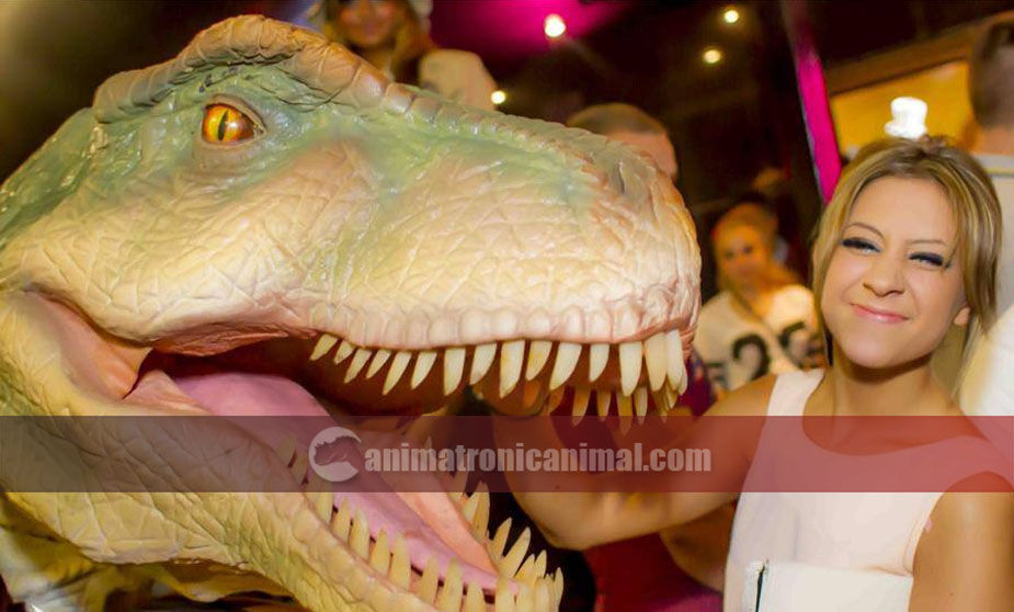 Real Tyrannosaurus Rex Film Prop