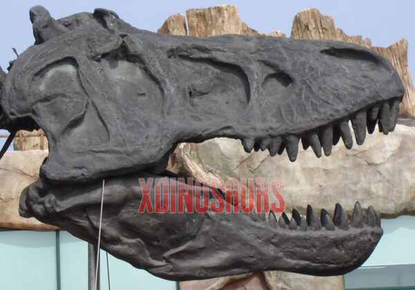 Custom Tyrannosaurus Rex Skull