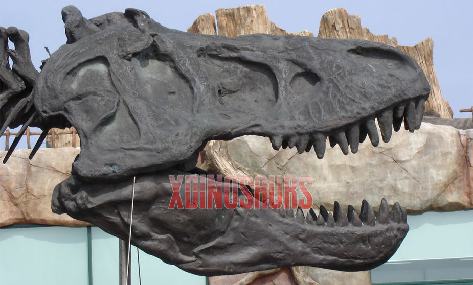 Custom Tyrannosaurus Rex Skull