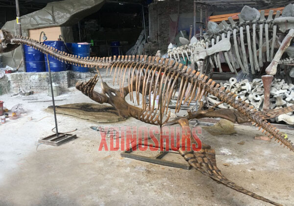 Manufacturing Life Size Dinosaur Skeleton Replica