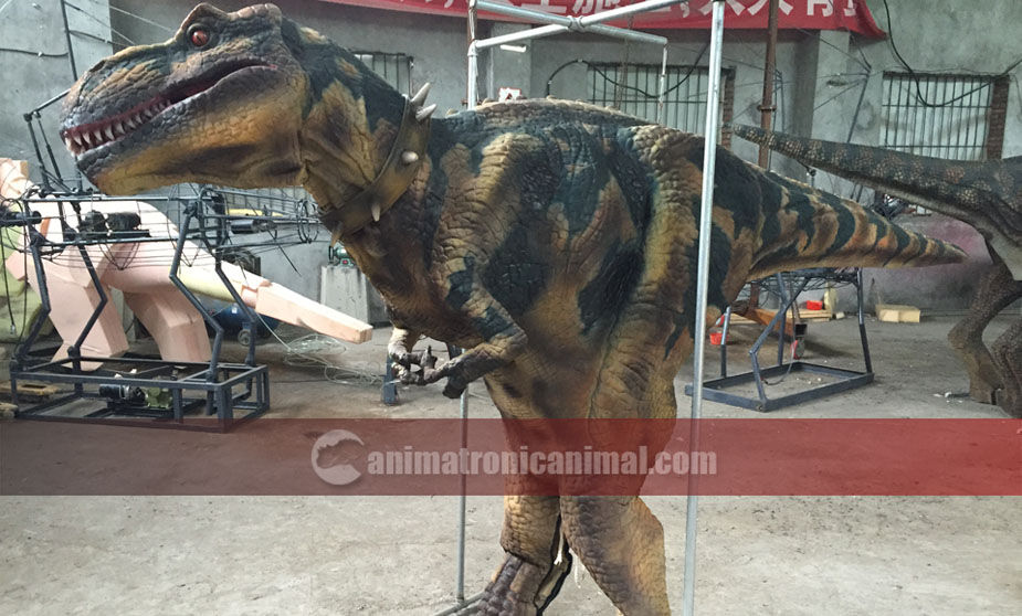 Trex Dressed Prop