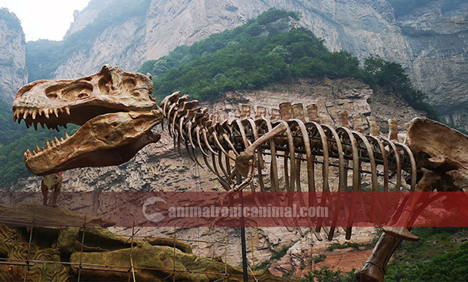 Decorated Tyrannosaurus Rex Fossil Exhibits