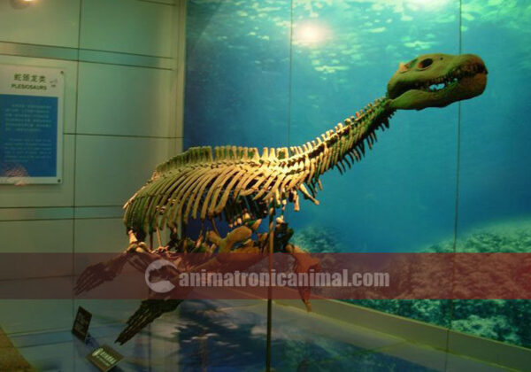 Fiberglass Ichthyosaur Fossil Replica