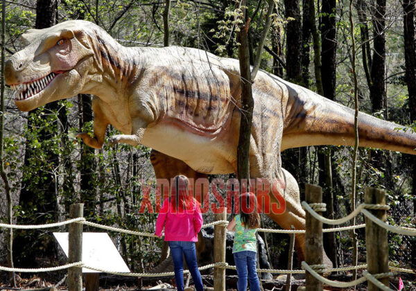 Amazed Outdoor Dino Expo