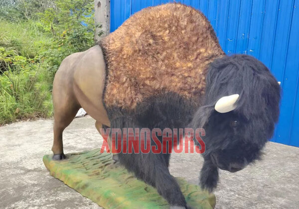 Bison Model