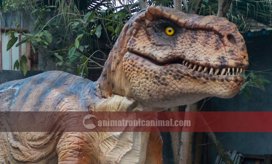 Cretaceous Trex Exhibits