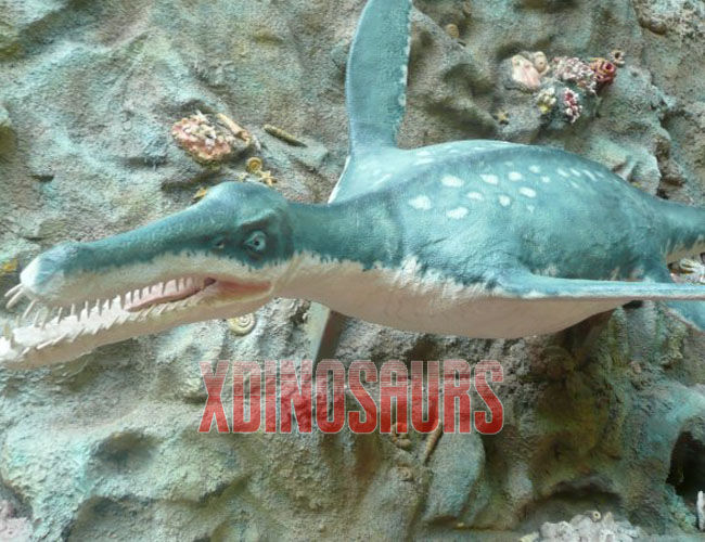 Ichthyosaur Model