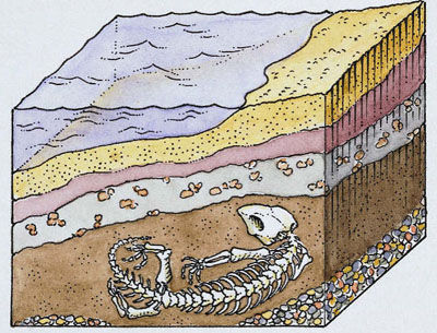 Sedimentary Rocks