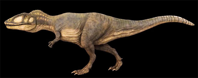 Carcharodontosaurus