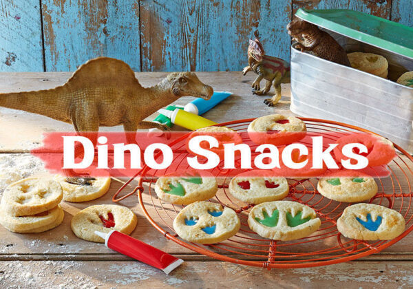 Dinosaur Snacks