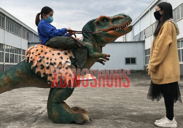 Small Trex Rider Suit