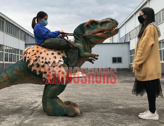 Small Trex Rider Suit