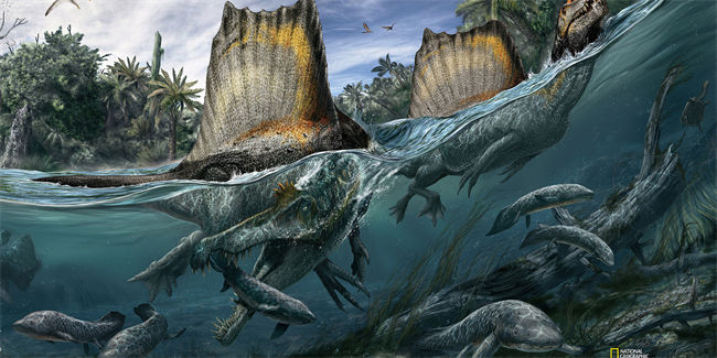 Spinosaurus in Water