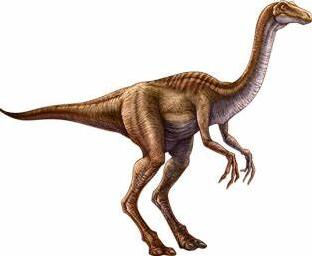 Gallimimus