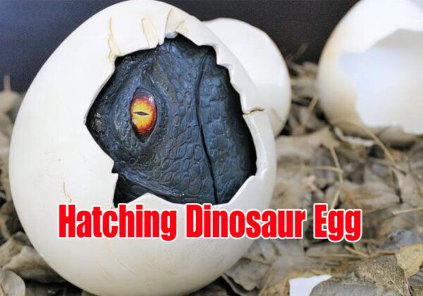 Hatching Dinosaur Egg Model