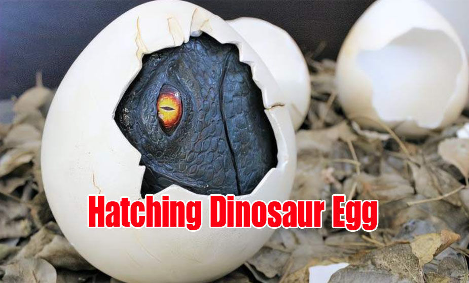 Hatching Dinosaur Egg