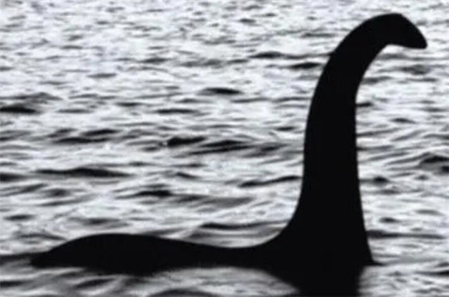 Ness Monster