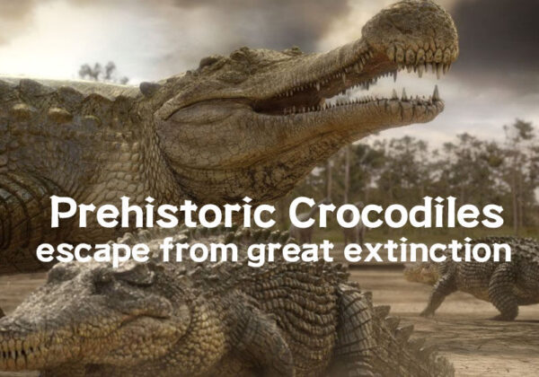 Prehistoric Crocodiles Escape