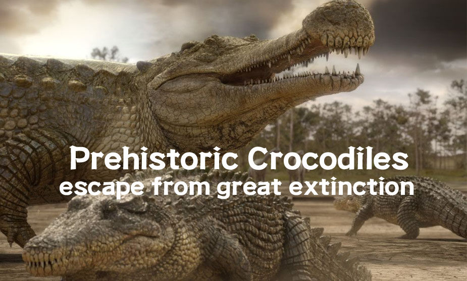 Prehistoric Crocodiles Escape